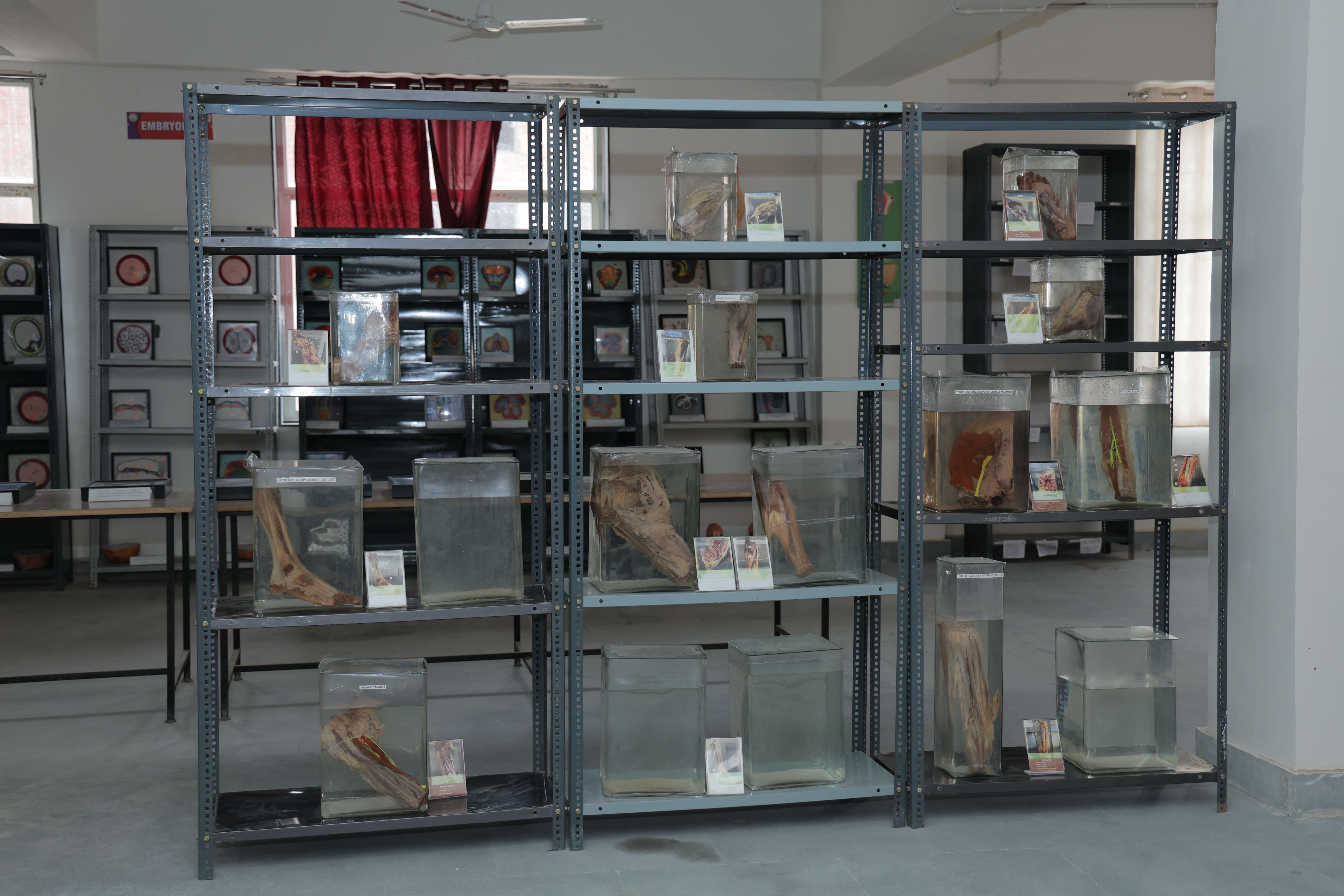 Anatomy department image