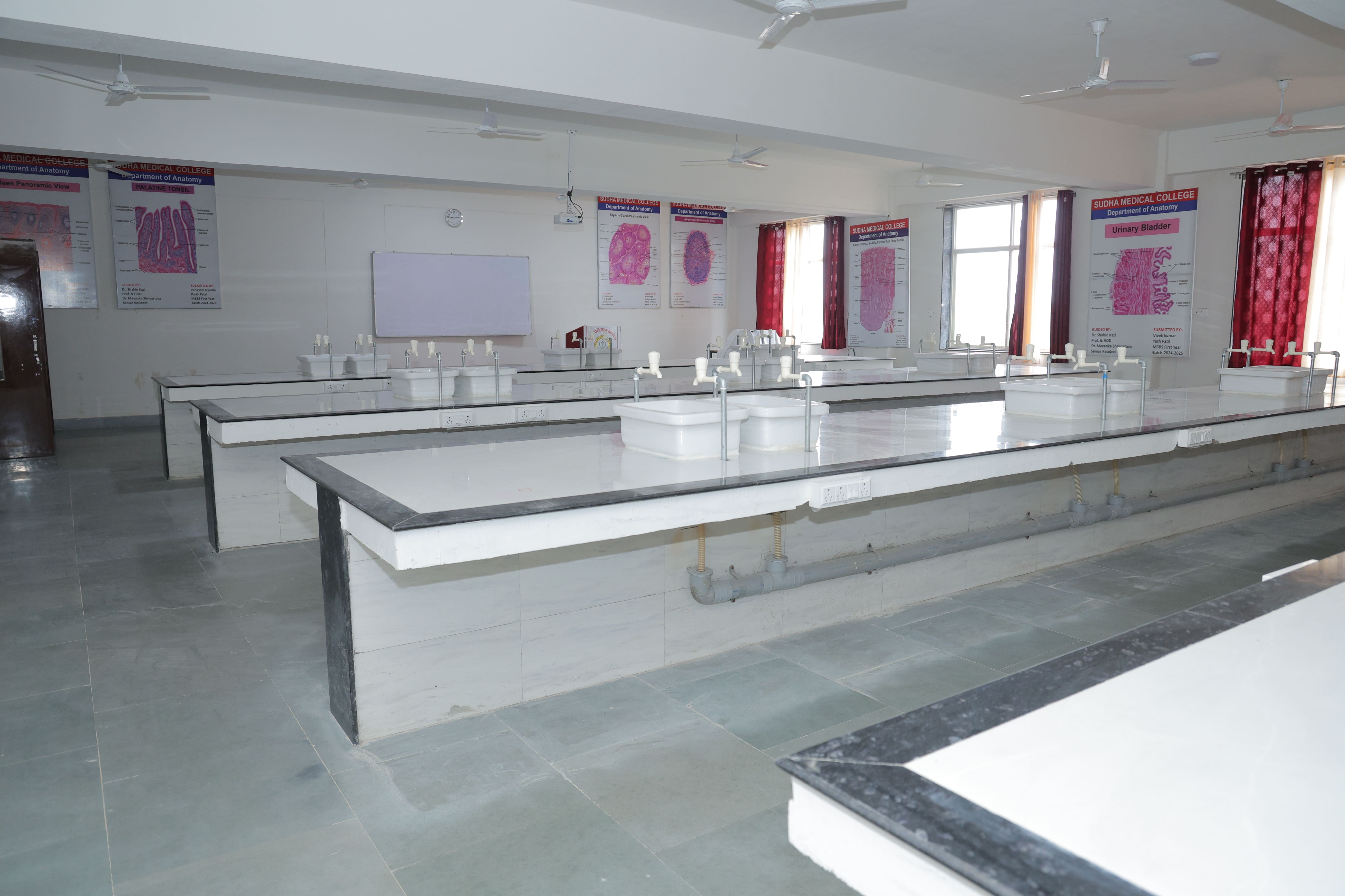 Anatomy department image