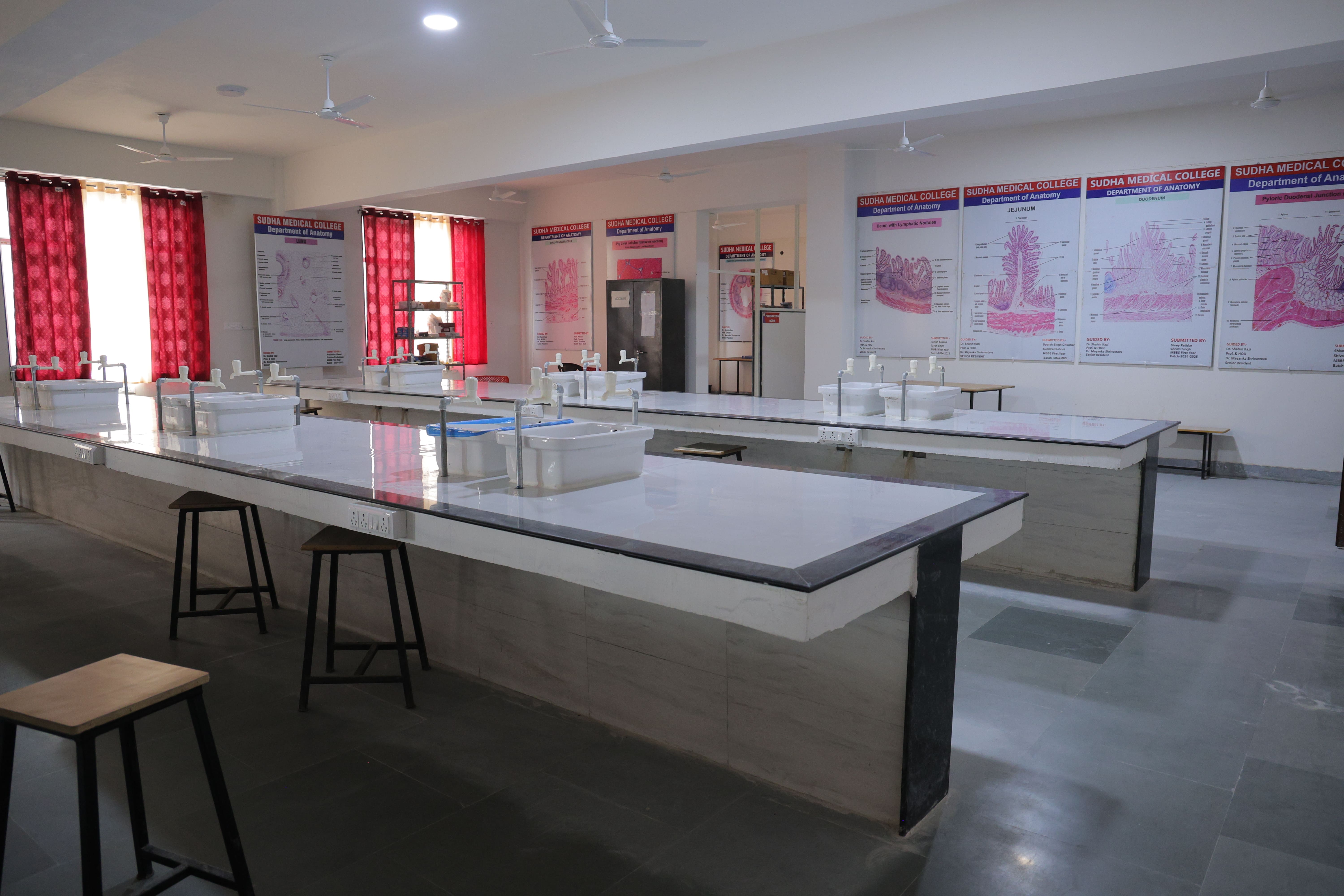 Anatomy department image