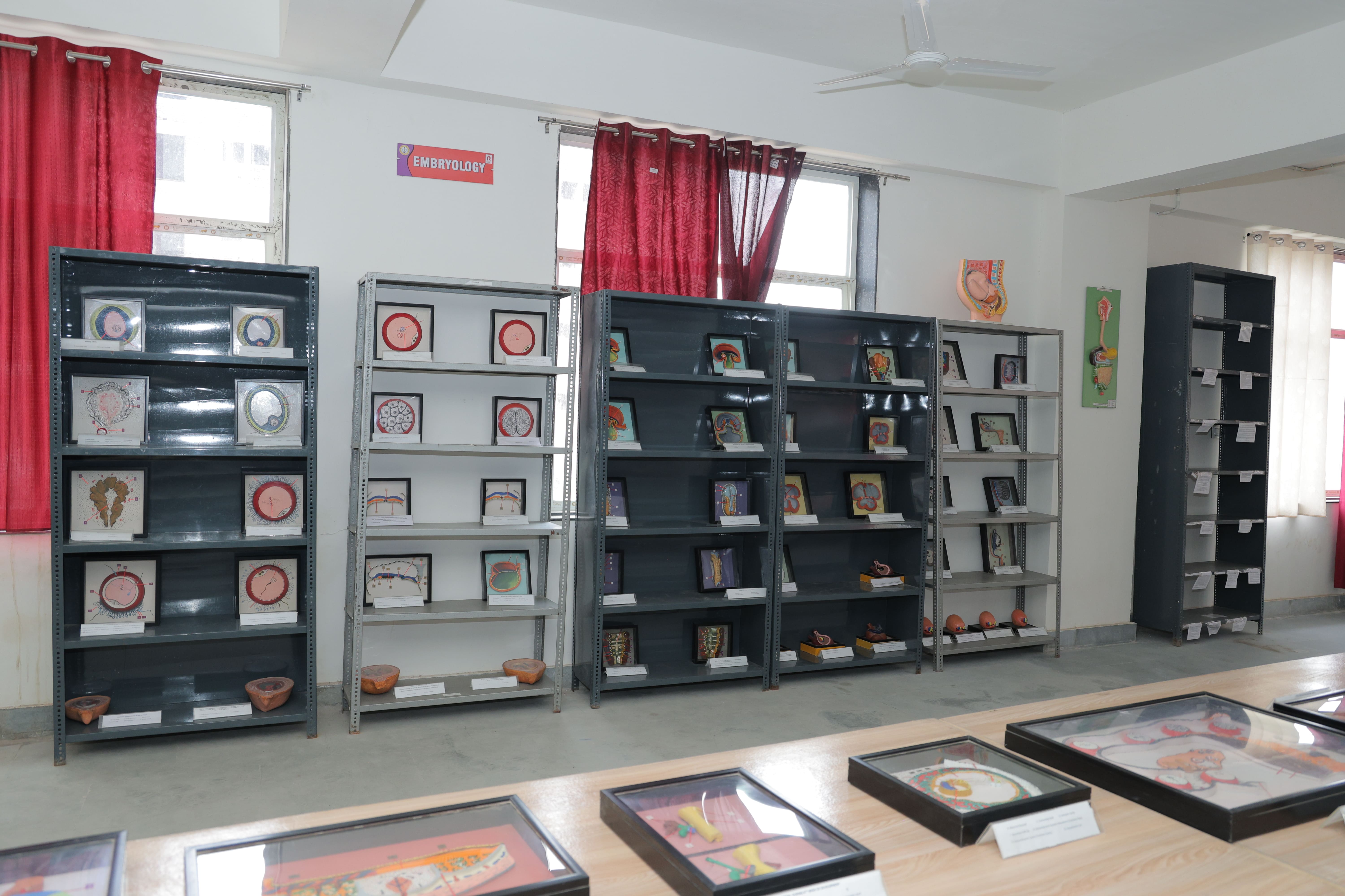 Anatomy department image
