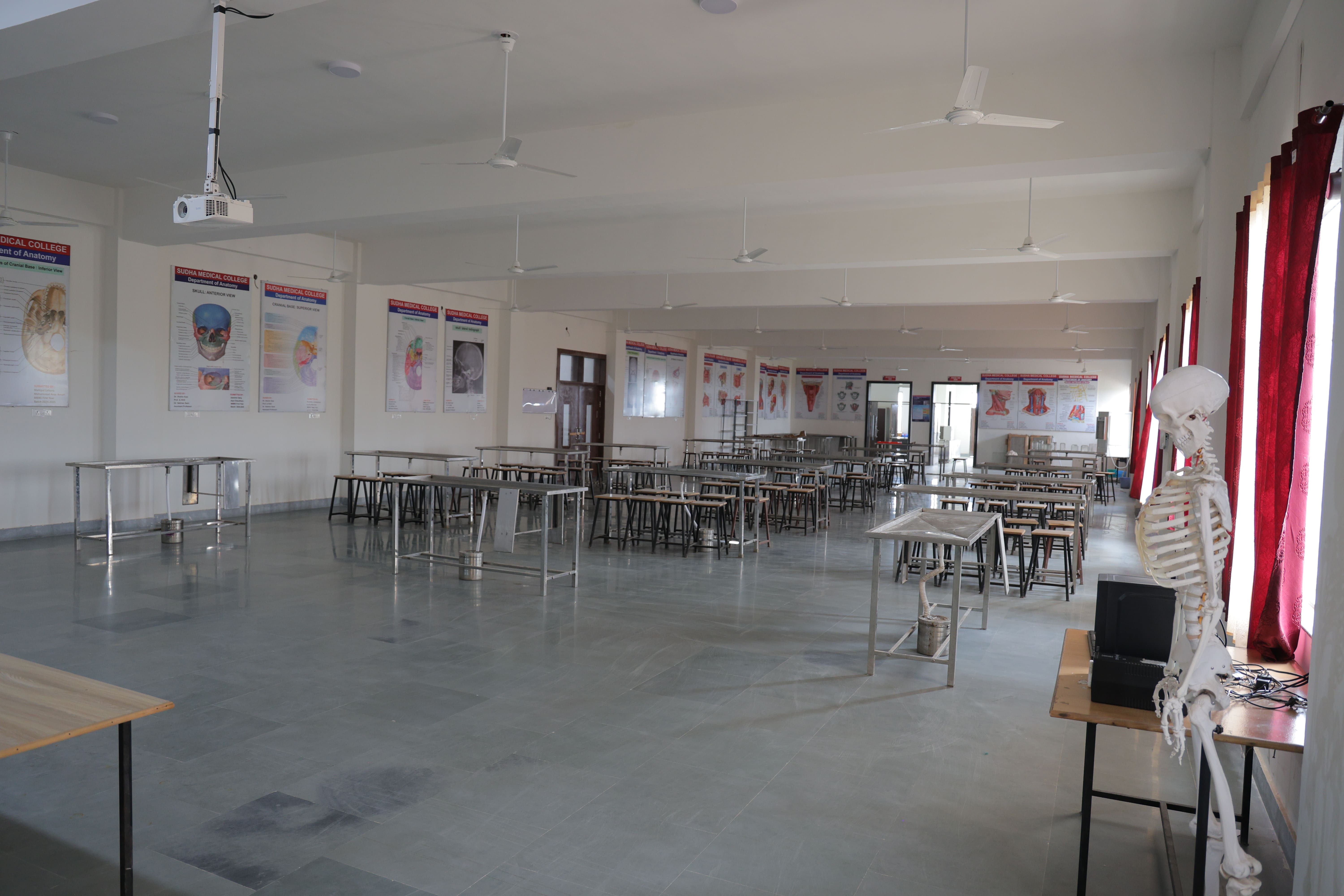 Anatomy department image