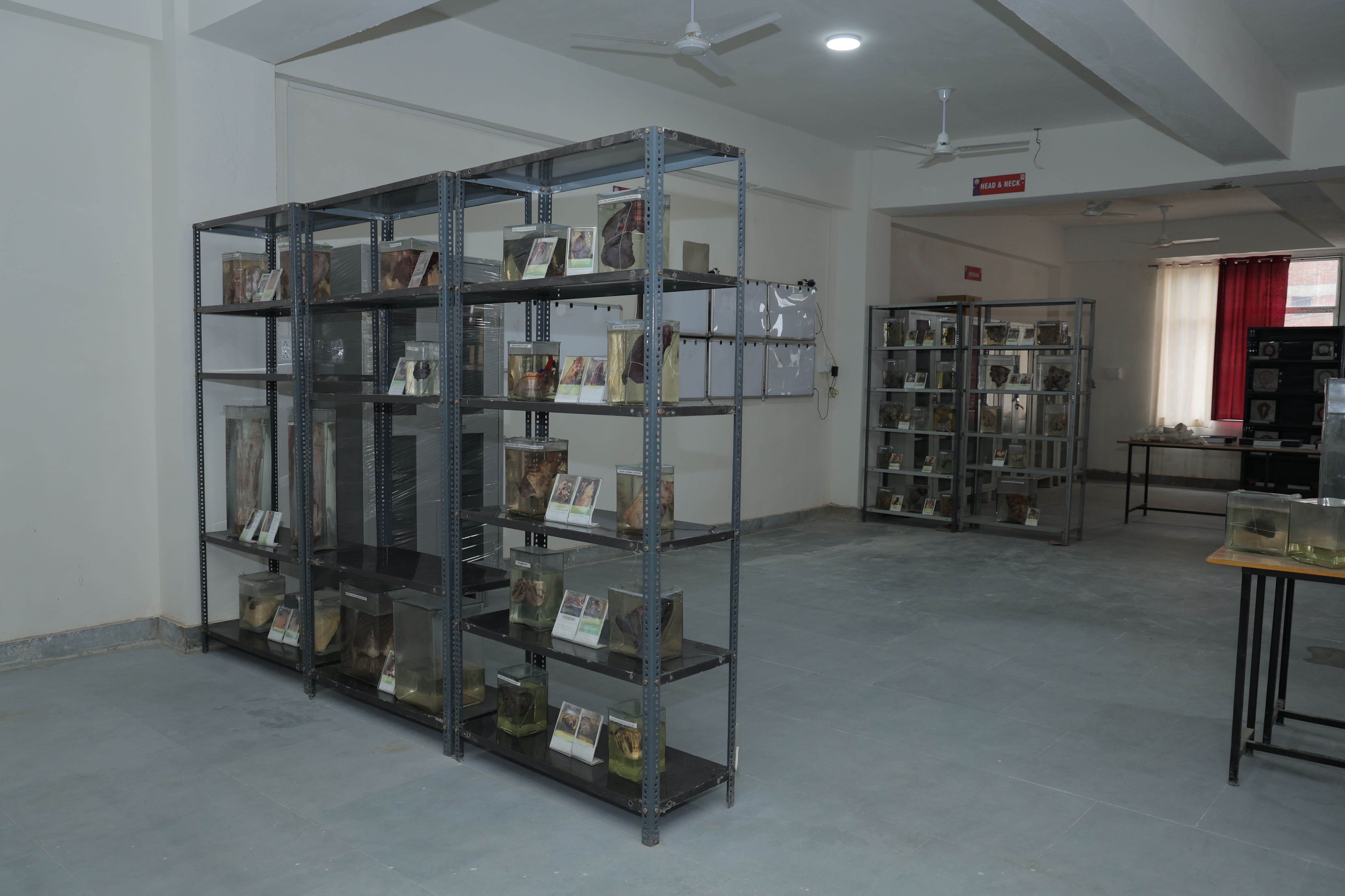 Anatomy department image