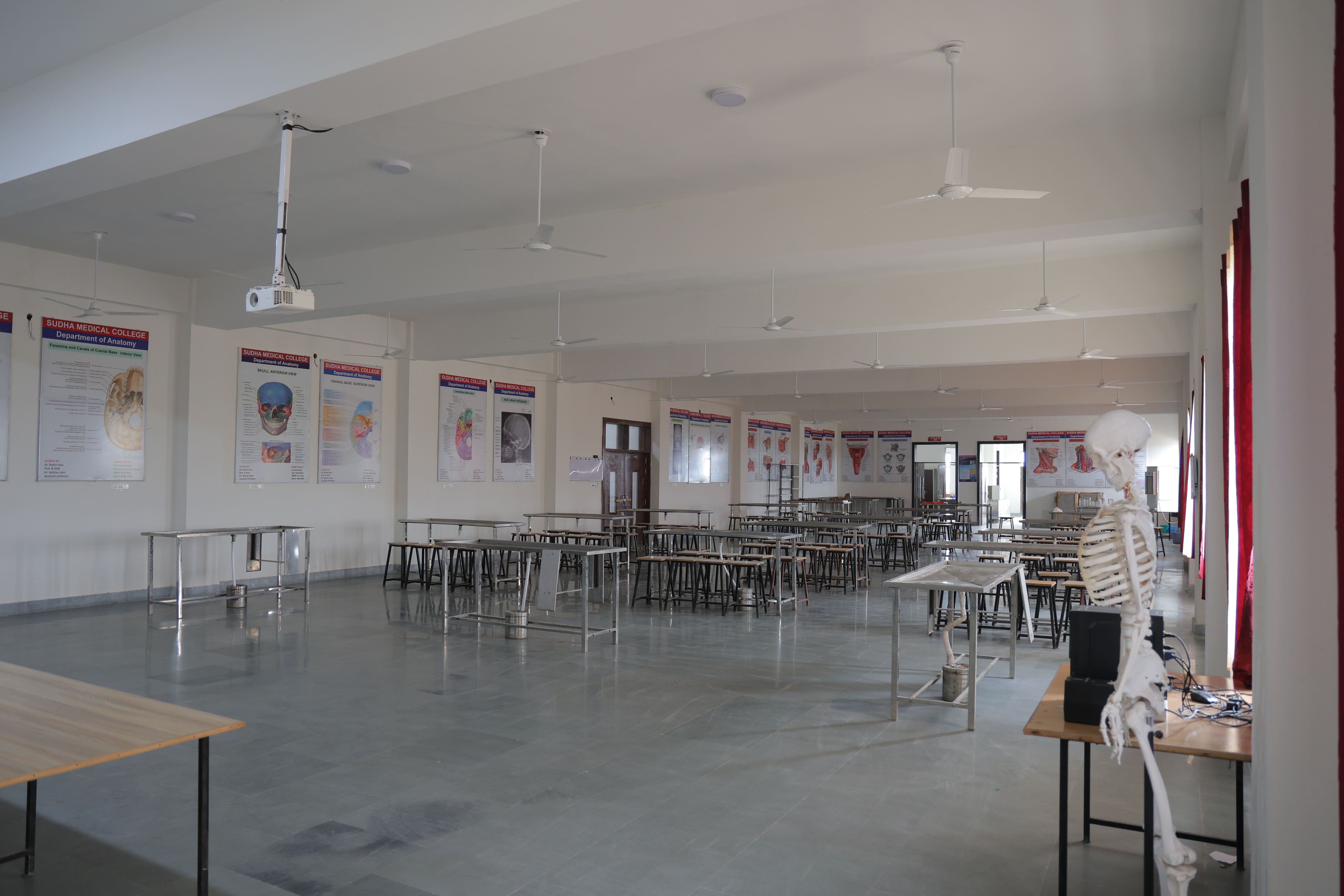 Anatomy department image